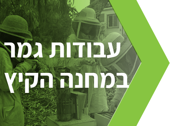 עבודות גמר
